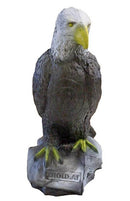 Leitold Weißkopfseeadler, sitzend-2