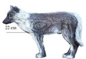 Leitold Wolf, laufend - 0