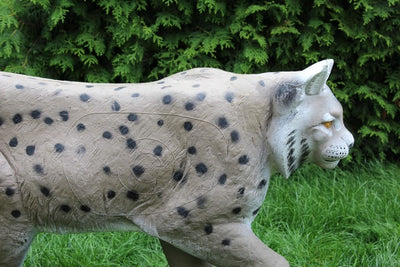 NaturFoam Luchs, laufend - 0