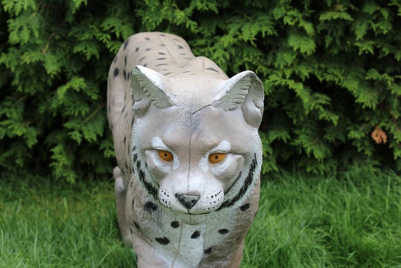 NaturFoam Luchs, laufend
