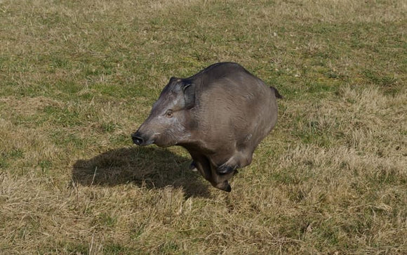 NaturFoam Wildschwein, flüchtend