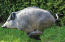 NaturFoam Wildschwein, flüchtend-3