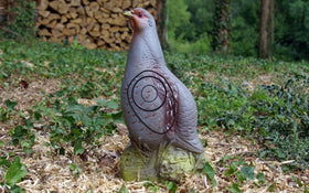 NaturFoam Rebhuhn stehend