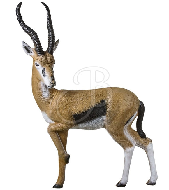 Rinehart Gazelle