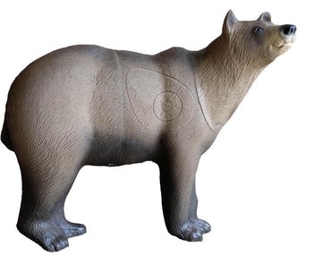 SRT Braunbär Marsicano, laufend