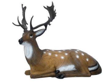 SRT Damhirsch, liegend