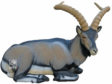 SRT Cabra Montes, iberischer Steinbock, liegend