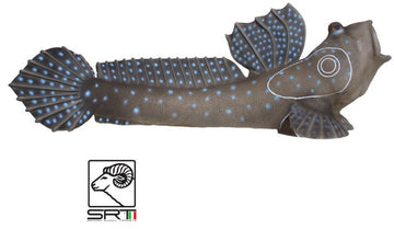 SRT Schlammspringer - 0