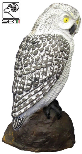 SRT weißer Kauz, Schneeeule