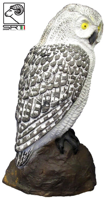SRT weißer Kauz, Schneeeule