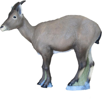 SRT Steinbock, weiblich