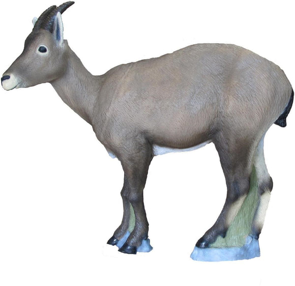 SRT Steinbock, weiblich