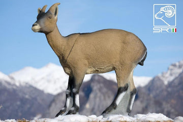 SRT Cabra Montes Steinbock, weiblich