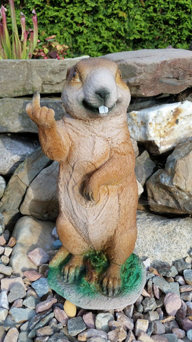 TC Targets freches Murmeltier - 0