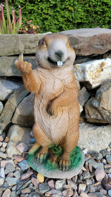 TC Targets freches Murmeltier - 0