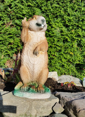 TC Targets freches Murmeltier