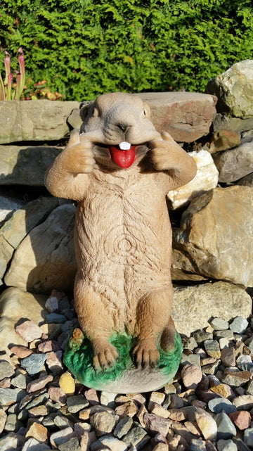 TC Targets Murmeltier Crazy Mike