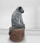 Wildcrete Affe, sitzend-2