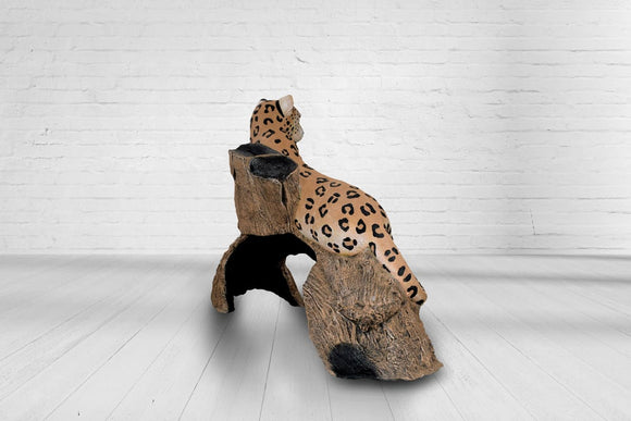 Wilde luipaard, liggend op een boomstam