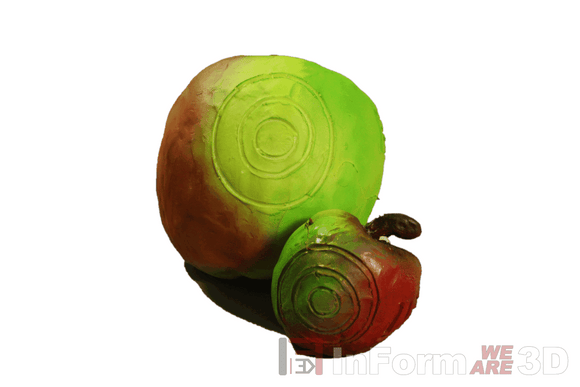 InForm3D Apfel
