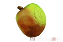 InForm3D Apfel-5