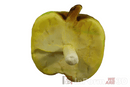 InForm3D Apfel-8