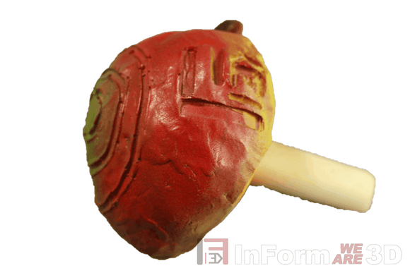 InForm3D Apfel