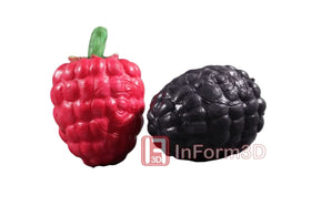 InForm3D Beere