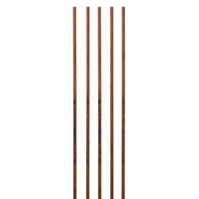 Bearpaw Penthalon TimberStick Carbonschaft