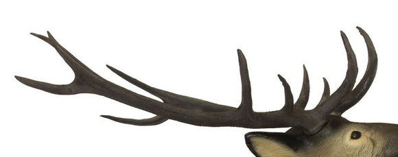 SRT Geweih für Rothirsche