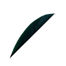 Feder RW Saubuckel Solid-6