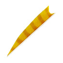 Feder RW Shark Barred-19