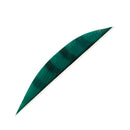 Feder RW Saubuckel Barred-17