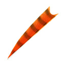 Feder RW Shark Barred-18
