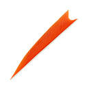 Feder RW Shark Solid-21
