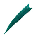 Feder RW Shark Solid-22