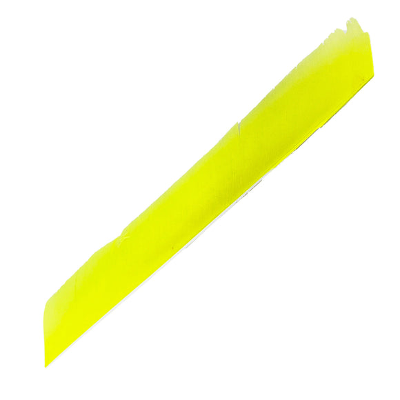 Federn Volle Länge Solid