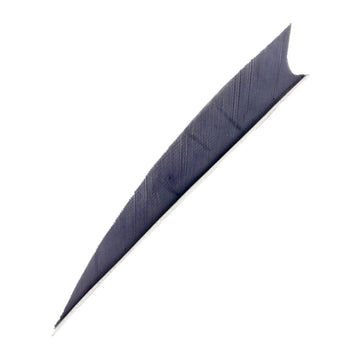 Feder RW Shark Solid - 0
