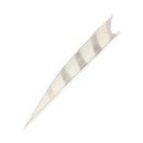Feder RW Shark Barred-4