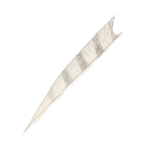 Feder RW Shark Barred