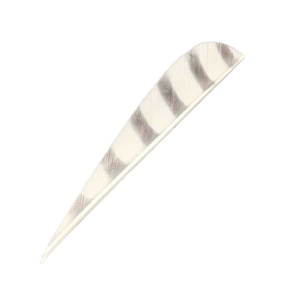 Feder RW Parabol Barred