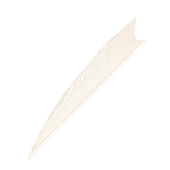 Feder RW Shark Solid