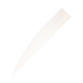 Feder RW Shield Solid - 0