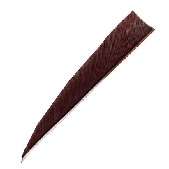 Feder RW Shield Solid