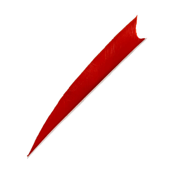Feder RW Shark Solid