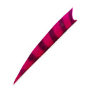 Feder RW Shark Barred-8