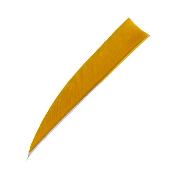Feder RW Shield Solid