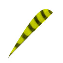 Feder RW Parabol Barred-10