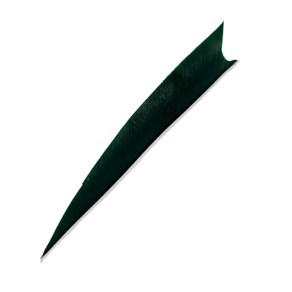 Feder RW Shark Solid