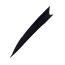 Feder RW Shark Solid-13